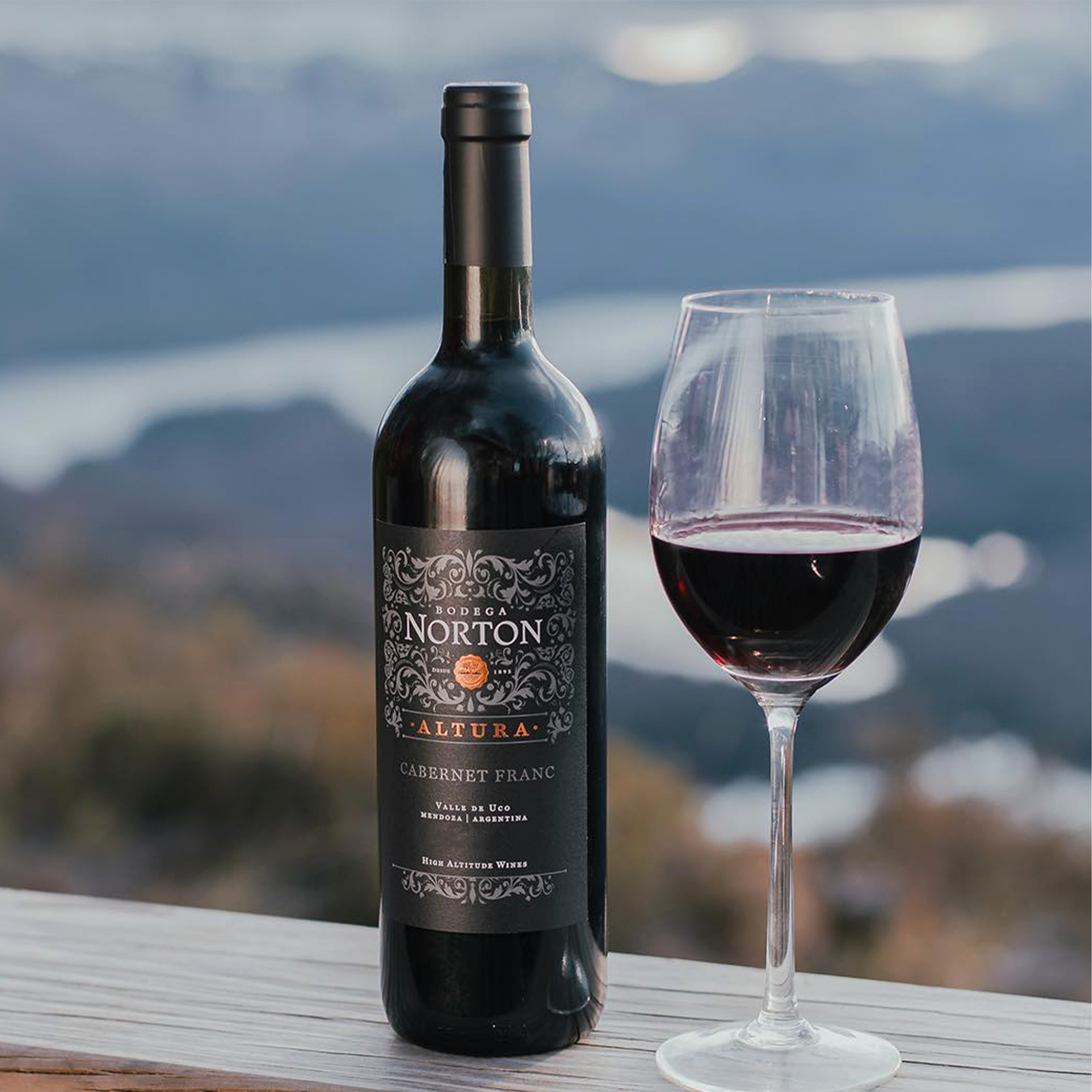 NORTON ALTURA CABERNET FRANC 750ml - Image 2